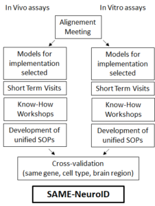 Schemat rozwoju platformy SAME-NeuroID platform