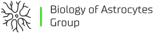 Biology of Astrocytes Group