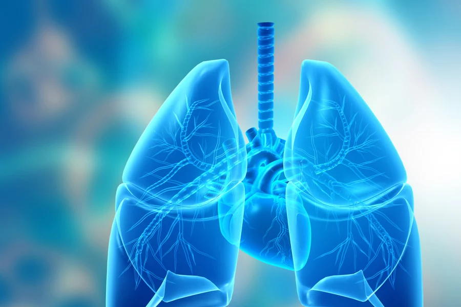 Ogrody Doświadczeń w Łukasiewicz – PORT warsztaty edukacyjne dla dzieci i młodzieży 25