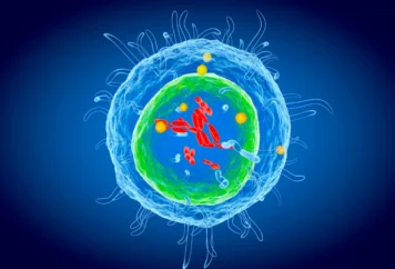 grupa badawcza immunoterapii 27