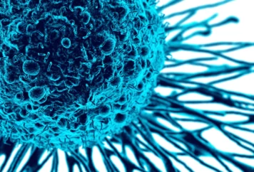 grupa badawcza immunoterapii 28